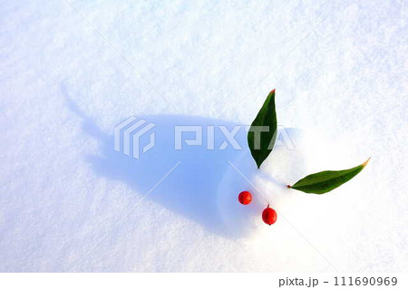 雪うさぎ　雪像　ウサギ　うさぎ　兎 111690969