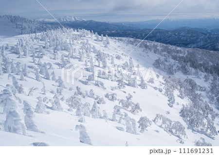 森吉山冬の絶景　広葉樹林帯から針葉樹林帯を観て遠く秋田駒ケ岳を望む　秋田県 111691231