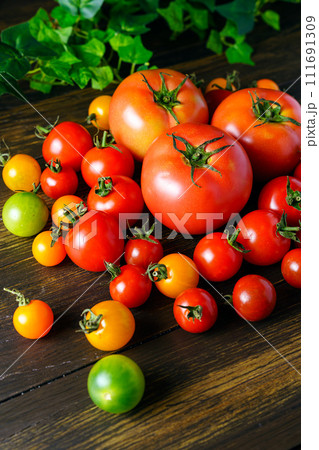 色々なトマト 111691309