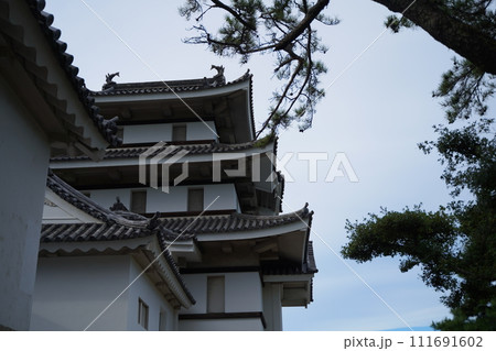 日本の四国、香川県にあるお城の跡、高松城。玉藻公園。 日本の四国、香川県にあるお城の跡、高松城。玉藻公園。 111691602