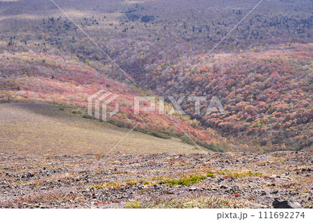 北海道　樽前山登山道からの眺め 111692274