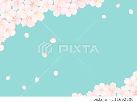 桜の花 桜の花 111692606