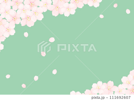 桜の花 111692607