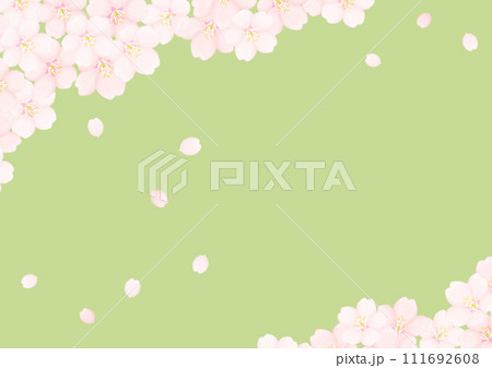 桜の花 111692608