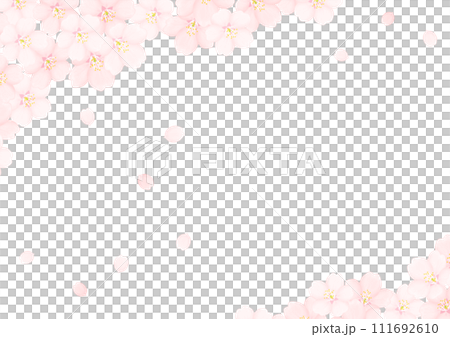 Cherry Blossom	 111692610