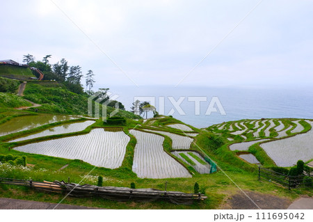 能登半島白米千枚田2023年5月20日 111695042