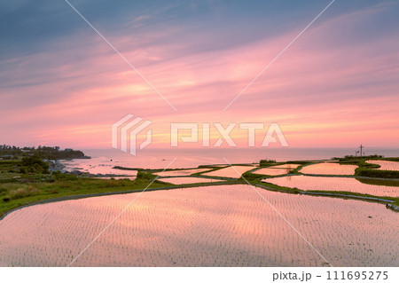 棚田の夕景 棚田の夕景 111695275