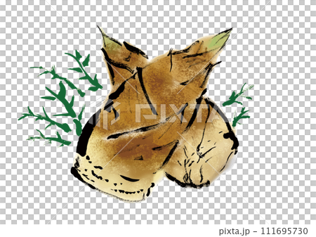 筍の和風手描きイラスト素材 111695730