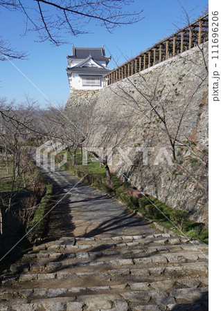 岡山県津山市にあるさくら名所100選のひとつ「鶴山公園（津山城趾）」：冬の風景 111696206