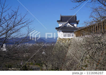 岡山県津山市にあるさくら名所100選のひとつ「鶴山公園（津山城趾）」：冬の風景 111696207