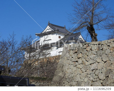 岡山県津山市にあるさくら名所100選のひとつ「鶴山公園(津山城趾)」:冬の風景 岡山県津山市にあるさくら名所100選のひとつ「鶴山公園(津山城趾)」:冬の風景 111696209