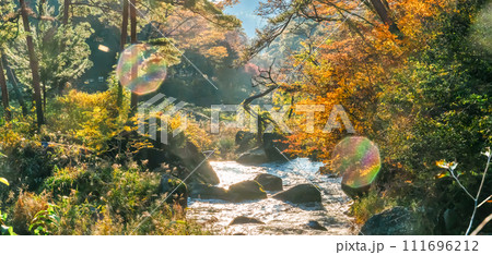 山梨県　紅葉の御嶽昇仙峡 111696212