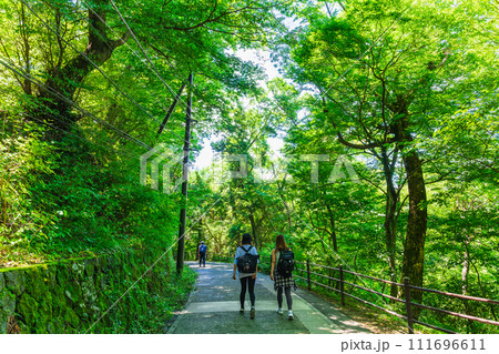 高尾山 登山道 高尾山 登山道 111696611