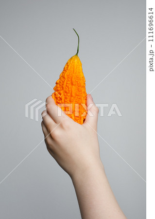 Orange Bitter melon or Momordica charantia in human hand on white background 111696614