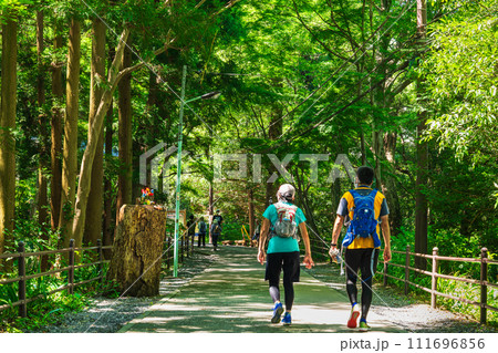 高尾山 登山道 高尾山 登山道 111696856