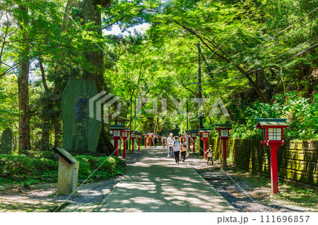 高尾山　登山道 111696857