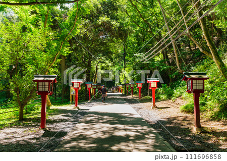 高尾山 登山道 高尾山 登山道 111696858