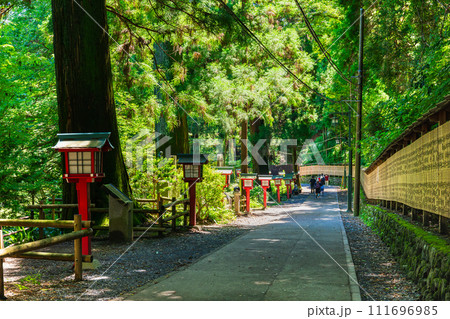 高尾山　登山道 111696985