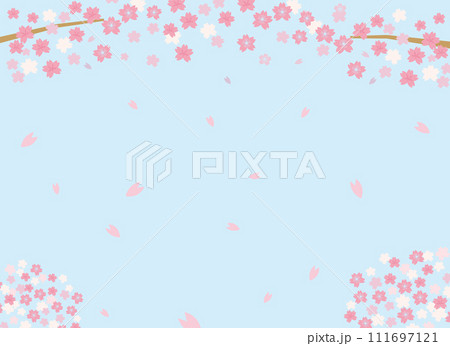 青空と桜の背景素材 青空と桜の背景素材 111697121