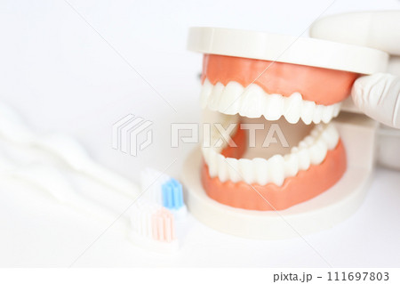 医療イメージ　歯の治療 111697803