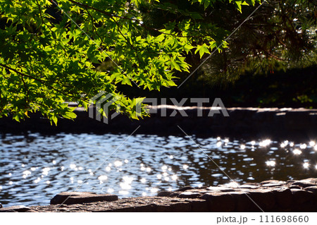 笹流バットレスダムの美しき湖面 111698660