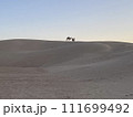 サハラ砂漠 111699492