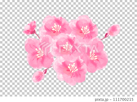 一點手繪日式櫻花向量插畫 111700215