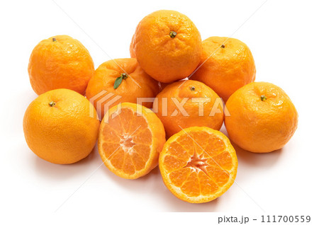 ミカン科の柑橘類、ポンカン 111700559