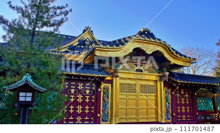 上野東照宮の風景 上野東照宮の風景 111701487