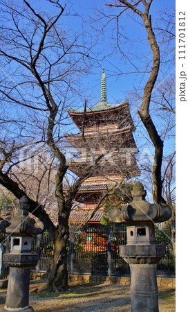 旧寛永寺五重塔の景観 旧寛永寺五重塔の景観 111701812