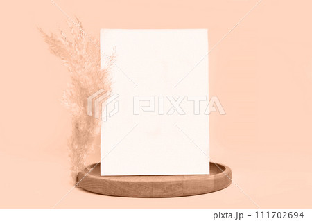 Blank Greeting Card Invitation Mockup. Front view. Dry Pampas Grass Modern Wooden Plate, Paper Mock Up on Beige Table. Copy Space. Minimal Business Brand Template. Soft Shadow. Nordic Flier Design. A6 Blank Greeting Card Invitation Mockup. Front view. Dry Pampas Grass Modern Wooden Plate, Paper Mock Up on Beige Table. Copy Space. Minimal Business Brand Template. Soft Shadow. Nordic Flier Design. A6 111702694