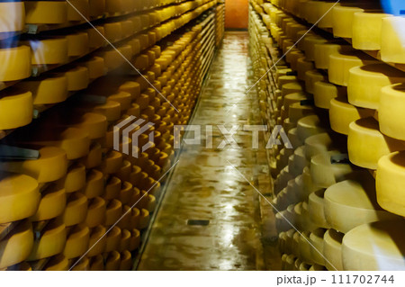 Cheese dairy plant warehouse with shelves stacked with rows of cheese Cheese dairy plant warehouse with shelves stacked with rows of cheese 111702744