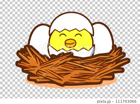 Newborn baby bird in the bird's nest (smile/with shadow) 111703066