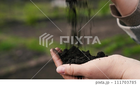 agriculture, farmer hand holding land, soil, man hands holding compost, land field, farmer hand holding pouring black organic soil, checking its quality, garden field, farming, organic soil, farming 111703785