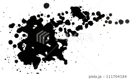 Macro Shot of Black Ink Drops Isolated on White Background 111704184