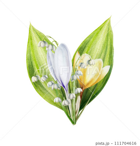Watercolor bouquet of yellow and white blooming crocus and lily of the valley flowers isolated on white background. Spring and easter botanical hand painted saffron illustration. For designers, Watercolor bouquet of yellow and white blooming crocus and lily of the valley flowers isolated on white background. Spring and easter botanical hand painted saffron illustration. For designers, 111704616