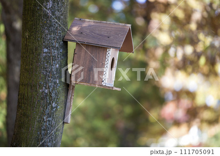 Wooden brown new bird house or nesting box attached to tree trunk in summer park or forest on blurred sunny green foliage bokeh background. Wildlife protection, do it yourself concept. Wooden brown new bird house or nesting box attached to tree trunk in summer park or forest on blurred sunny green foliage bokeh background. Wildlife protection, do it yourself concept. 111705091