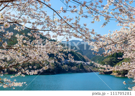 君ケ野ダム公園 (3月) 111705281