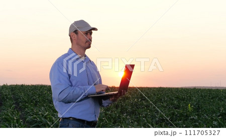 Agriculturist with laptop assesses growth of maize against sunset. Countryman observes maize plants holding laptop. Contemporary farmer adept in craft works on laptop scrutinizing maize field Agriculturist with laptop assesses growth of maize against sunset. Countryman observes maize plants holding laptop. Contemporary farmer adept in craft works on laptop scrutinizing maize field 111705327