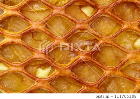 Macro shot of apple pie with custard and lattice top 111705388