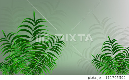 Green leaves of a young palm tree on an abstract background 111705592