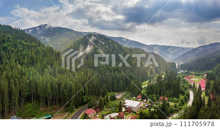 Aerial view of green Carpathian mountains covered with evergreen spruce pine foreston summer sunny day. 111705978