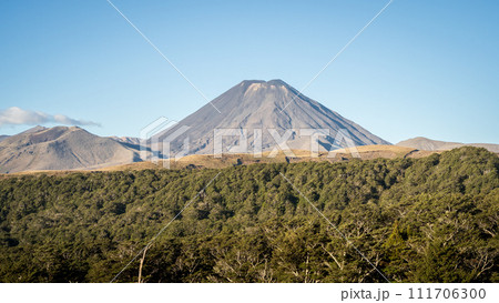 Simple volcanic landscape with big volcanic cone dominating in the center, New Zealand 111706300