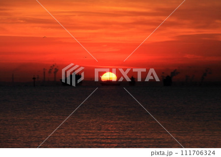 東京湾の朝焼け 東京湾の朝焼け 111706324