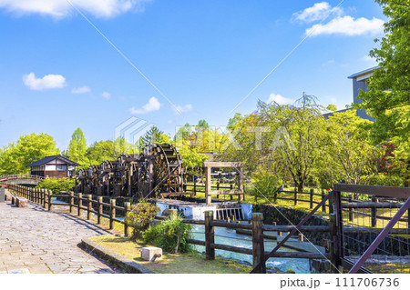 チューリップ公園 (4月　晴れ) 111706736