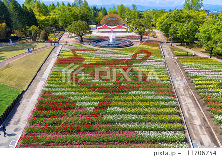 チューリップ公園 (4月　晴れ) 111706754