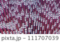 An abstract loop 3D background image featuring a shining wave cylinder on a holographic backdrop, offering a mesmerizing visual experience. 111707039