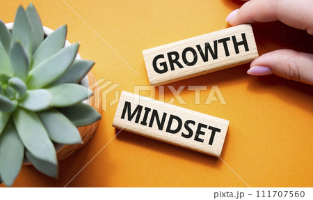 Growth Mindset symbol. Concept word Growth Mindset on wooden blocks. Beautiful orange background with succulent plant. Businessman hand. Business and Growth Mindset concept. Copy space Growth Mindset symbol. Concept word Growth Mindset on wooden blocks. Beautiful orange background with succulent plant. Businessman hand. Business and Growth Mindset concept. Copy space 111707560