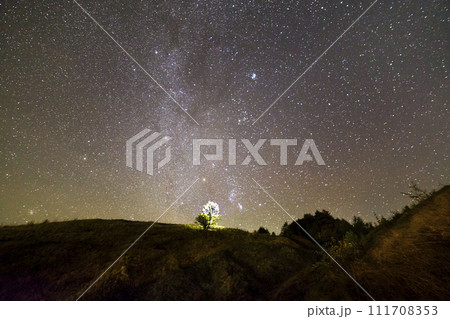 Dark green grassy hills, lonely tree and bushes at night under beautiful dark blue summer starry sky 111708353