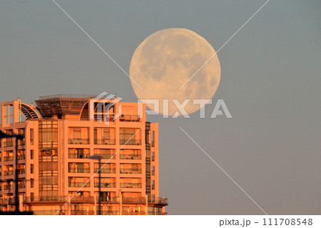 地上近くの満月 地上近くの満月 111708548